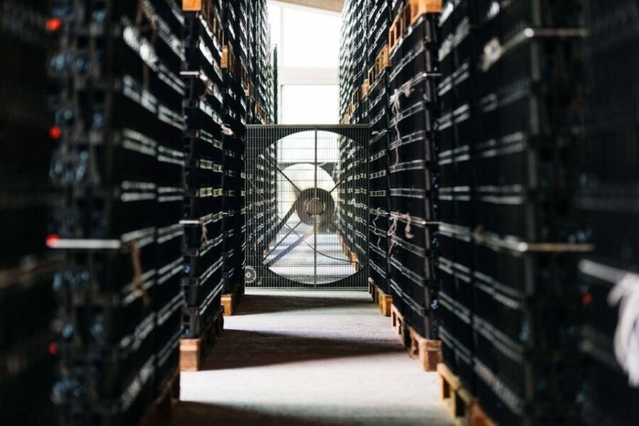 Valpolicella: Lunch or Dinner Tasting With Amarone - Good To Know