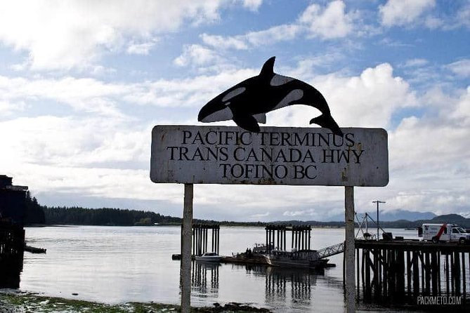 Vancouver 4-Day Private Tofino and Beyond Tour - Tour Overview
