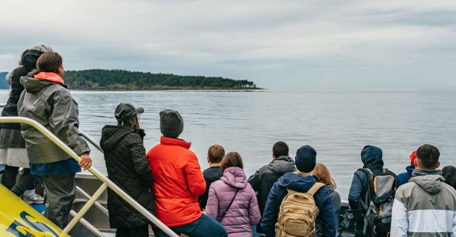Vancouver, BC: Whale Watching Tour - Good To Know