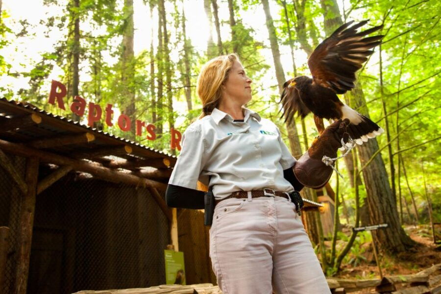 Vancouver: Capilano Suspension Bridge Park Entry Ticket - Good To Know