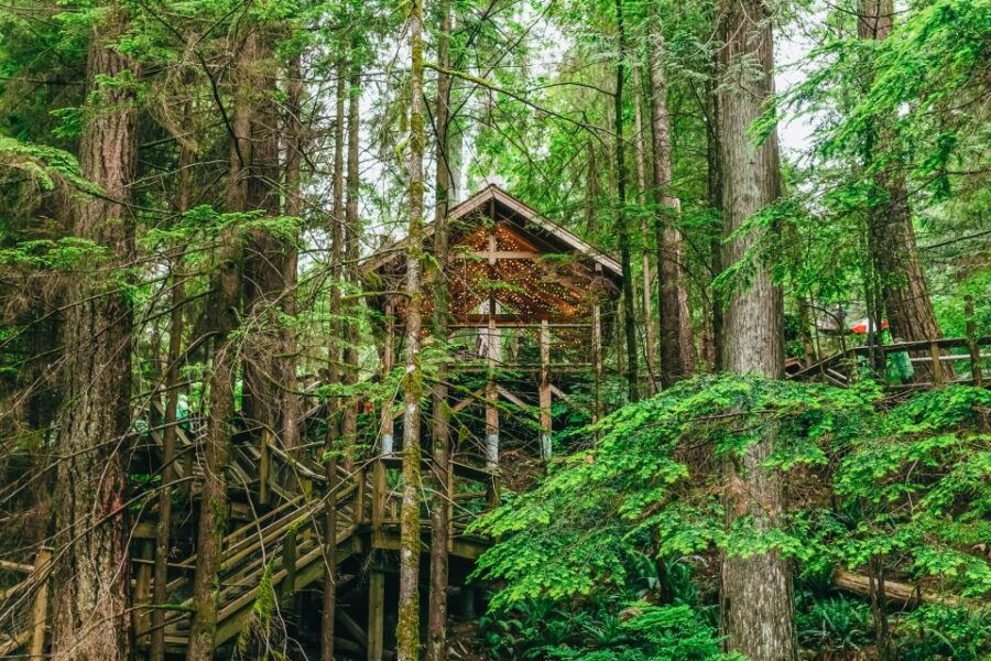 Vancouver & Capilano Suspension Bridge Sightseeing: Half-Day - Good To Know