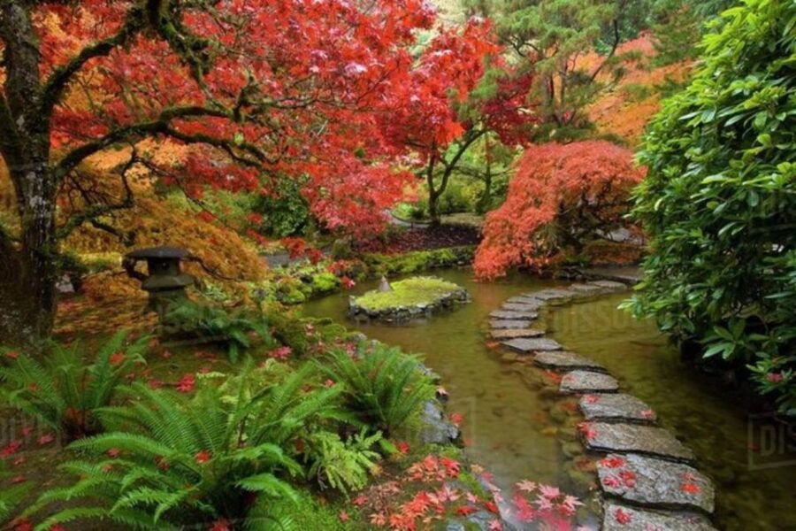 Vancouver Day Tour Visit The Most Unique Places! Private