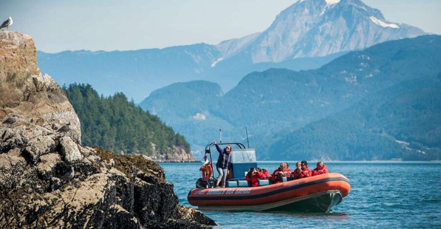 Vancouver: Howe Sound Fjords, Sea Caves & Wildlife Boat Tour - Good To Know
