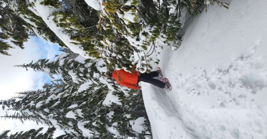 Vancouver Island Alpine Snowshoeing Tour - Good To Know