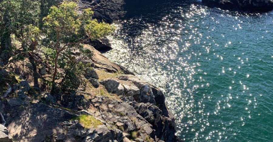 Vancouver: Lighthouse Park Hike