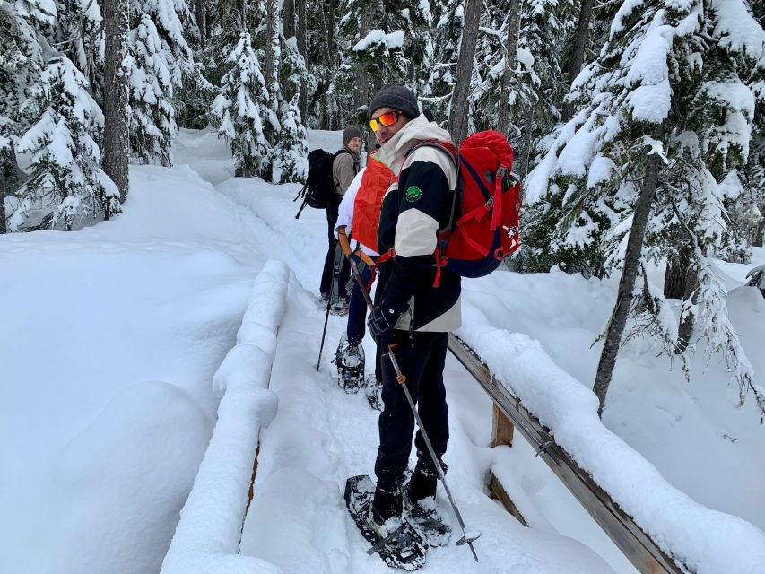 Vancouver: Panoramic View Snowshoeing Tour