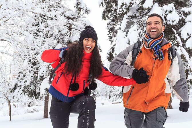 Vancouver Pre & Post Cruise Capilano & Grouse Mountain Tour