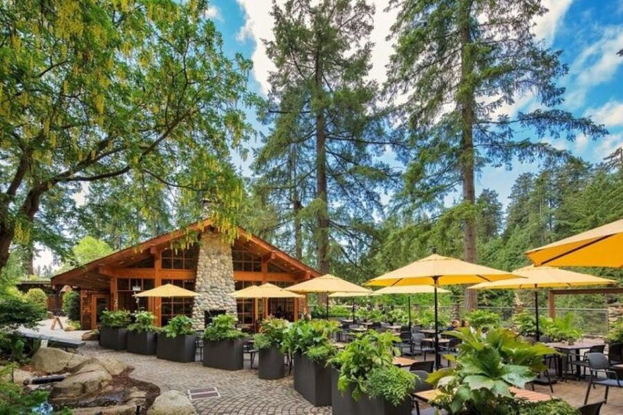 Vancouver With Stanley,Grouse Mountain&Capillano Suspension