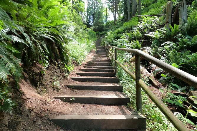 Vancouvers Natural Stair Master Workout, With Beach Walk