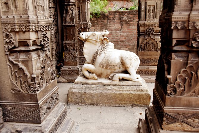 Varanasi Private Tour (Feb )
