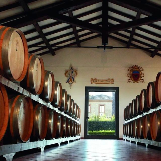 Venosa: Re Manfredi Winery Tour With Tastings - Good To Know