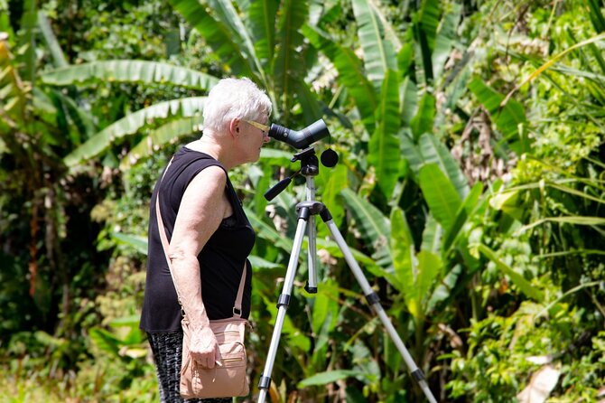 Veragua Rainforest Walk, Tram & Tortuguero Boat Tour. Limon Shore Excursion