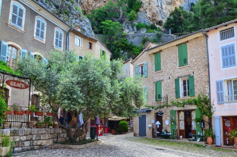 Verdon Gorge and Truffle Hunting
