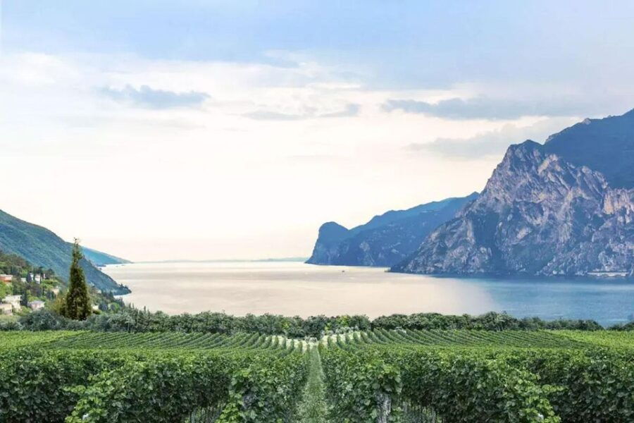 Verona: Food and Wine Tasting Tour
