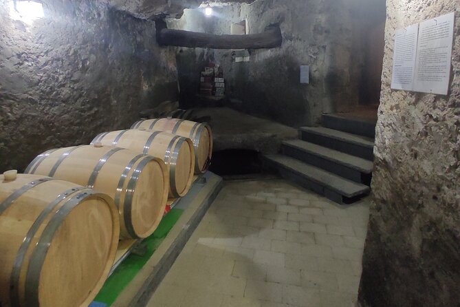 Vesuvius Wine Tasting With Company Tour