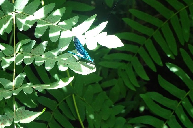 Viana Cerveira Private - Booking Information