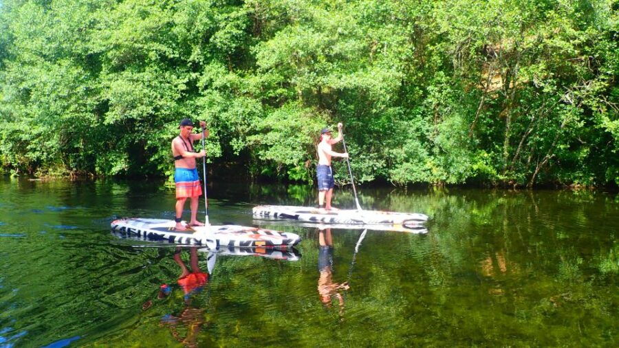 Viana Do Castelo: Vez River SUP With Transfer Options - Good To Know