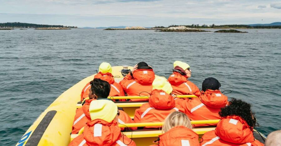 Victoria: 3-Hour Whale Watching Tour in a Zodiac Boat - Good To Know