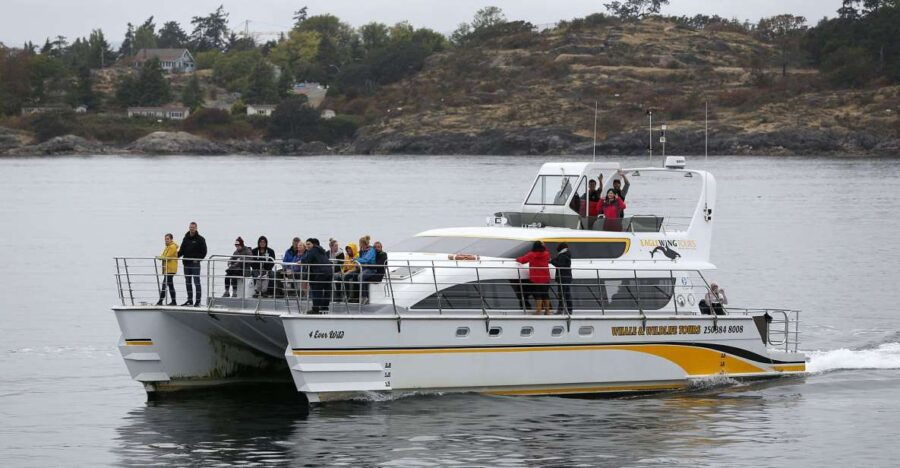 Victoria: Guided Whale and Wildlife-Watching Cruise - Good To Know