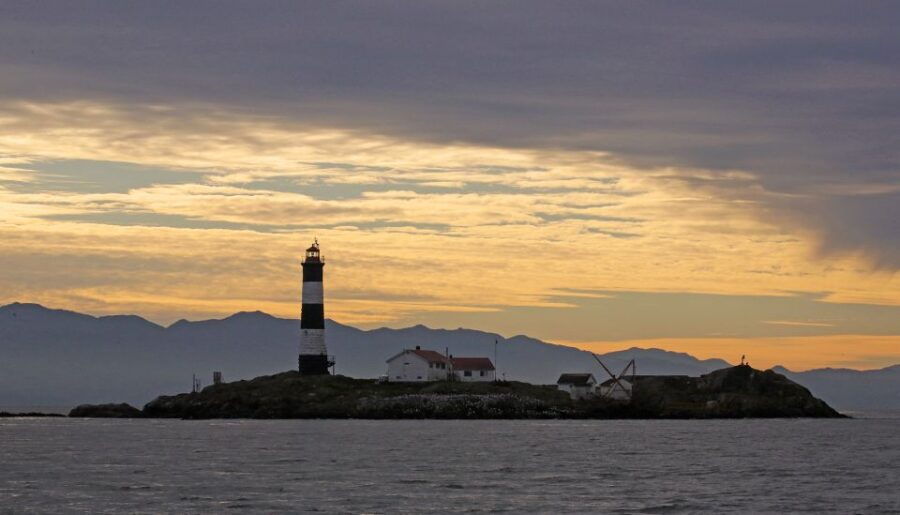 Victoria: Sunset Whale Watching Tour on Semi-Covered Boat - Good To Know