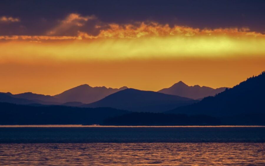 Victoria: Sunset Whale Watching Tour on Semi-Covered Boat - Good To Know