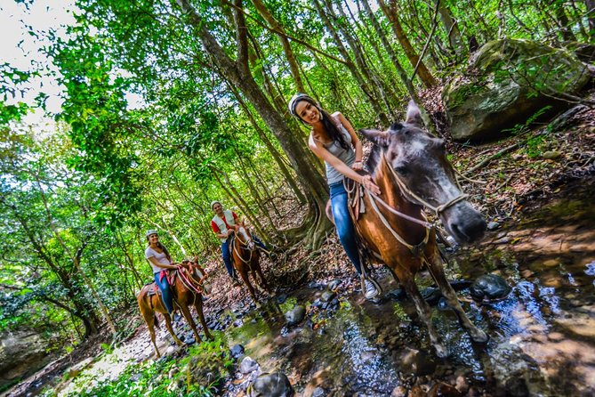 Vida Aventura Park Tour: Zipline, Horseback Ride, Hot Springs  - Playa Flamingo - Good To Know