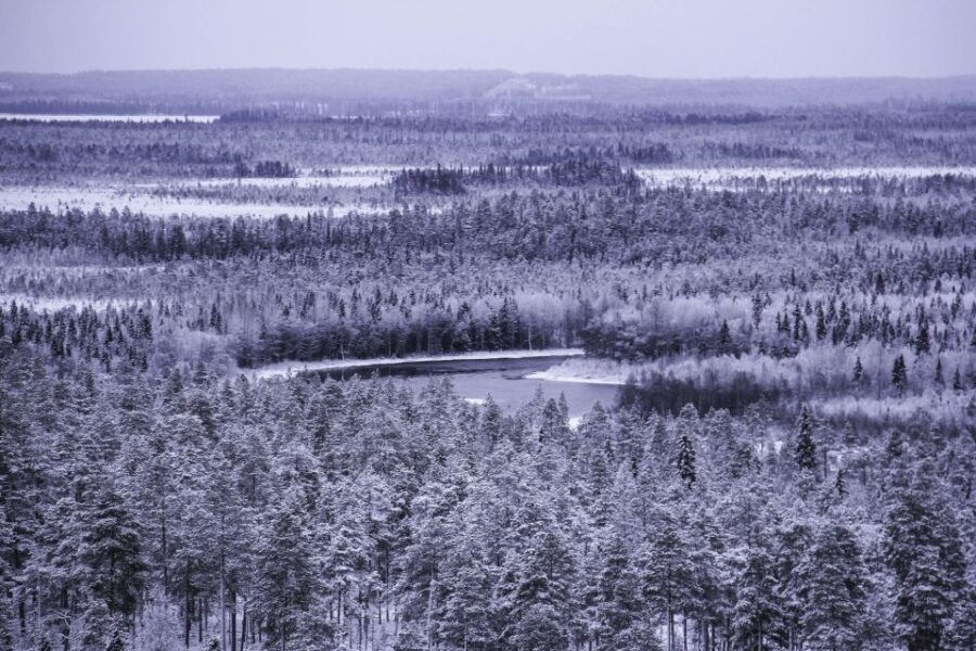 Vikakongas Hike: Nature and Silence