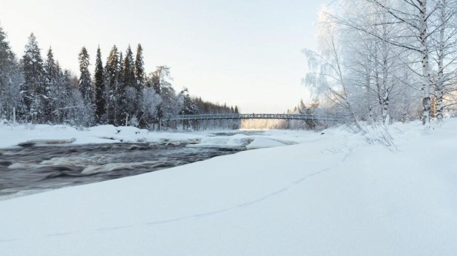 Vikaköngäs Hiking Tour to the Top of the Hill With BBQ - Good To Know