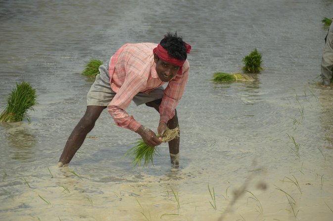 Village Snapshot - Pure and Simple - Good To Know