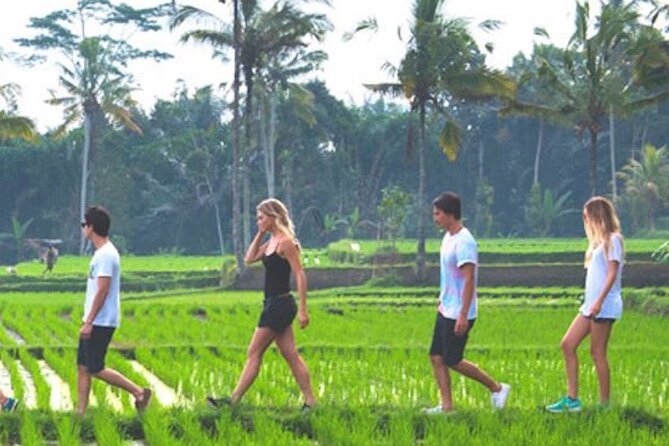 VILLAGE TOUR & RICE FIELDS TREKKING Jambangan Bali - Good To Know