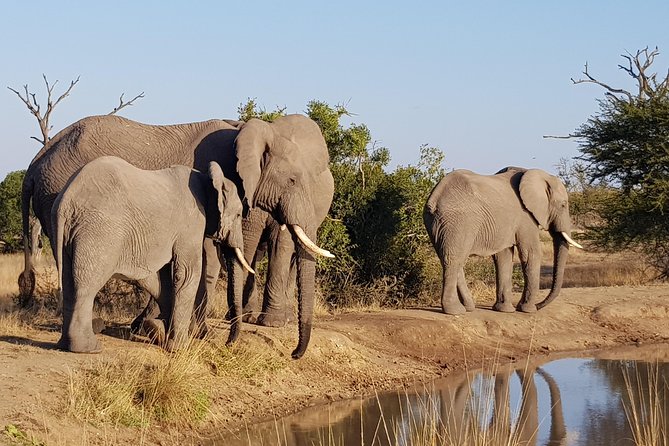 Village Tour Safari