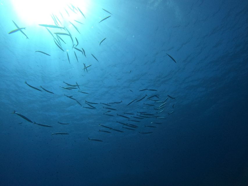 Villasimius: Snorkeling Tour in Capo Carbonara