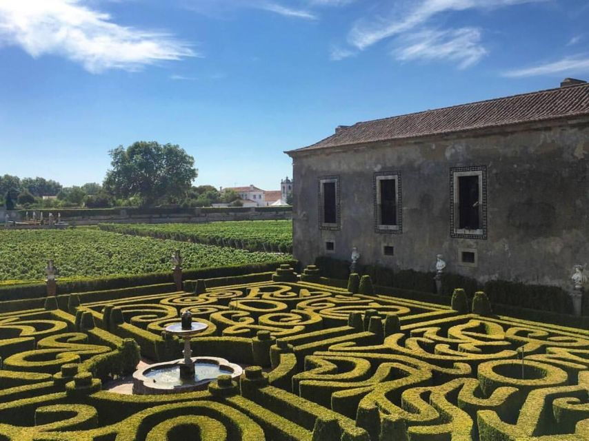 Vineyard Gems: Bacalhôa and José Maria Da Fonseca Wine Tour - Good To Know