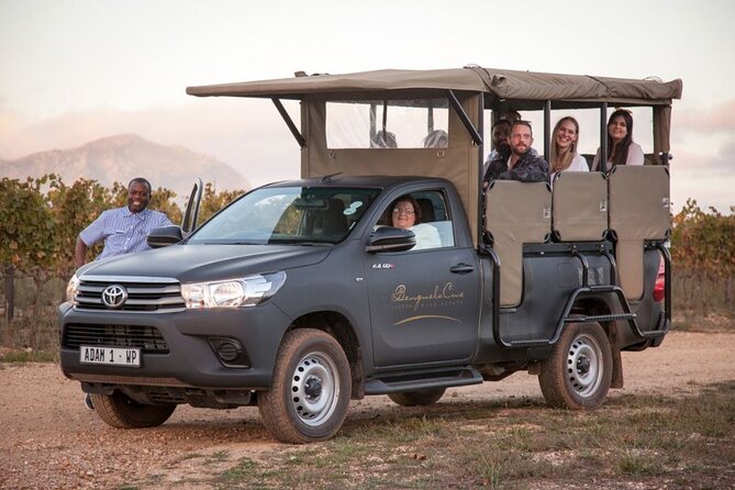 3 Best Safari Tours In Hermanus