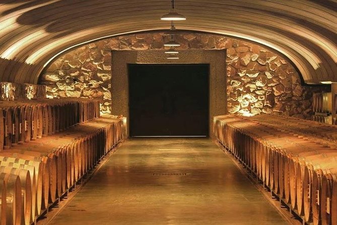 Vineyards With Wine Tasting in Mendoza