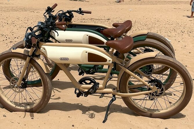 Vintage Electric Bike Rental
