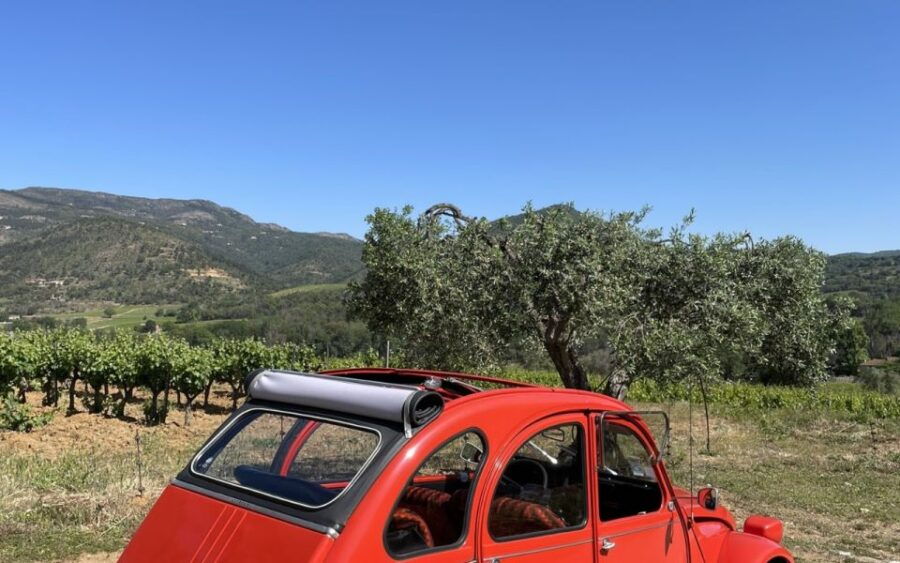 Vintage Wine Tour in Saint-Tropez