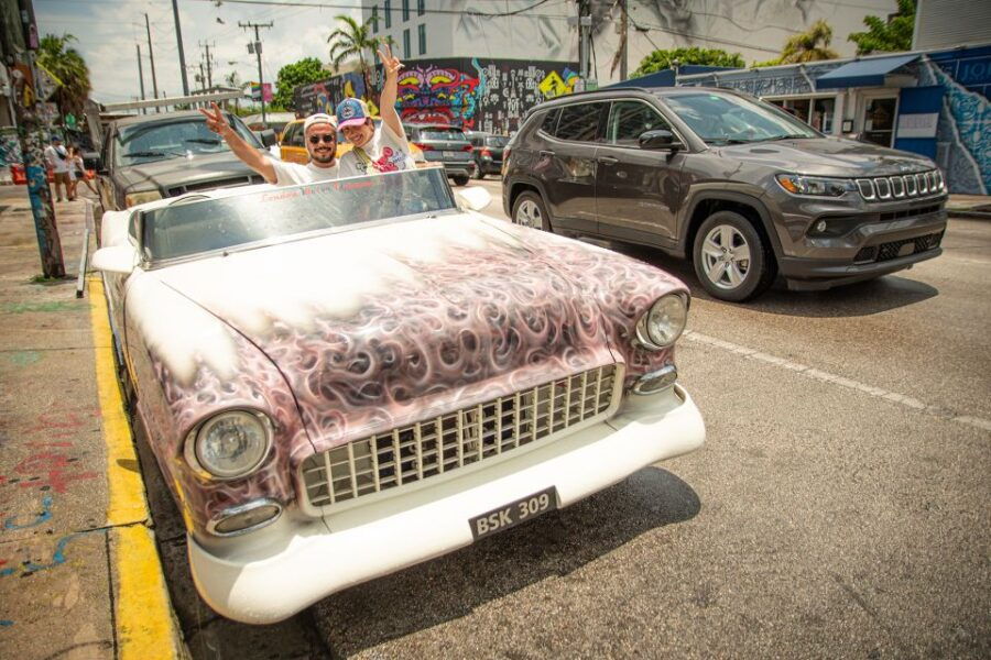 VIP Wynwood Miami Photoshoot & Art Walking Tour - Good To Know