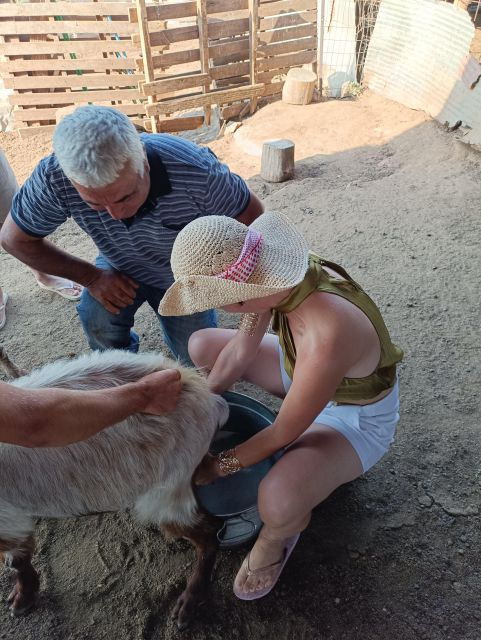 Visit a Goat - Sheep Farm and a Greek Village - Good To Know