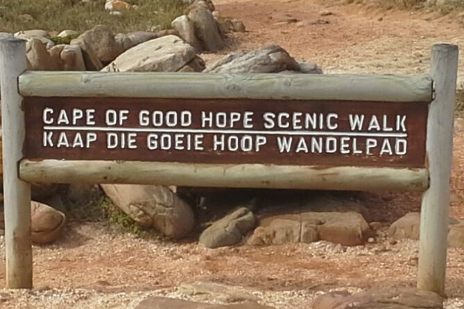 Visit African Penguins and Cape of Good Hope