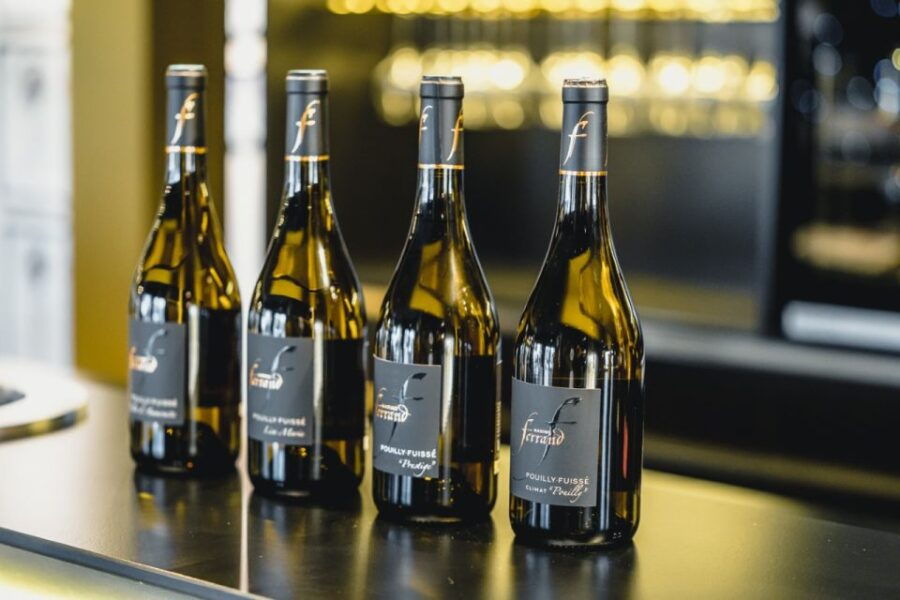 Visit and Wine Tasting at the Vineyard