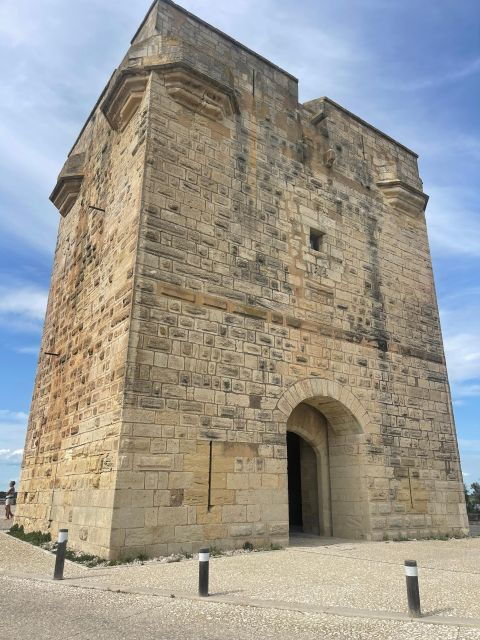 Visit Camargue and Salt Marshes From Montpellier