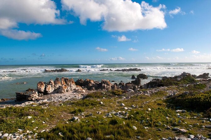 Visit Cape Agulhas Where The Two Oceans Meet F/D From Cape Town - Good To Know