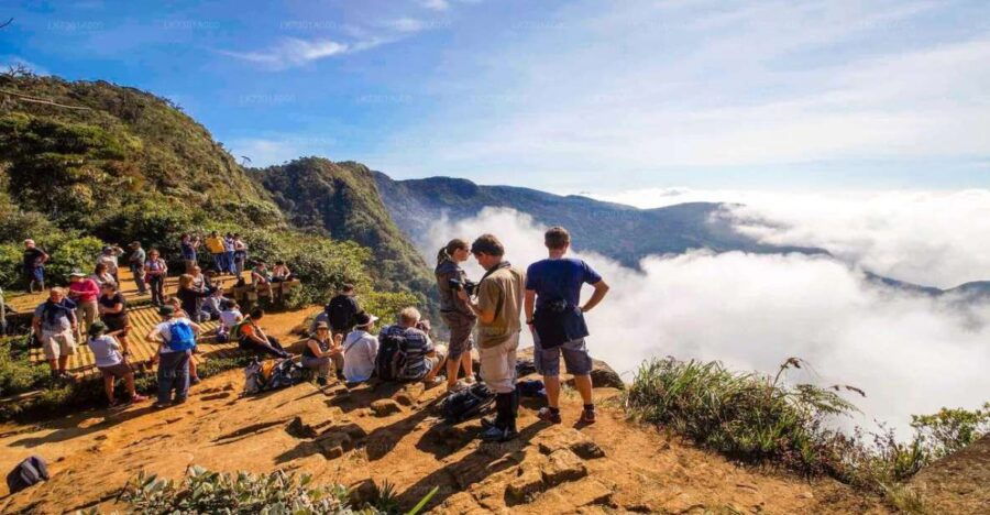 Visit Horton Plains and Nuwara Eliya From Ella - Good To Know