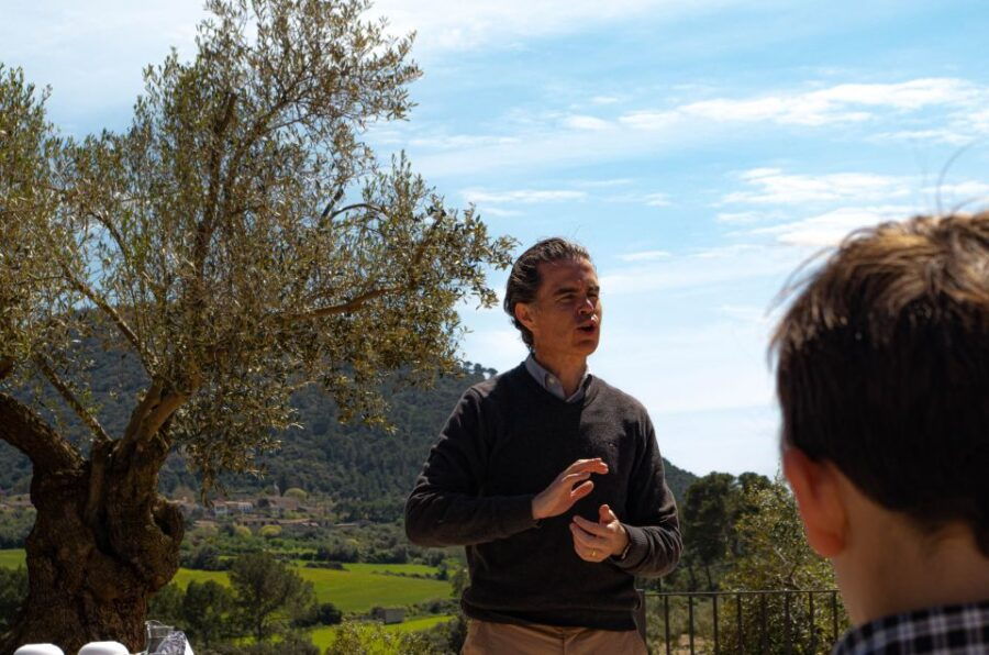 Visit of the Olive Grove, Olive Oil Tasting and Snack - Good To Know