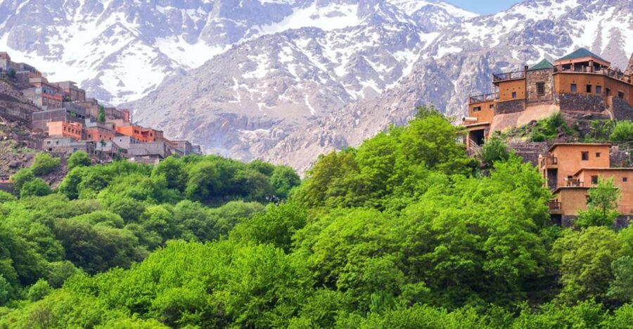 Visit Ourika Valley Included Lunch And Camel - Good To Know