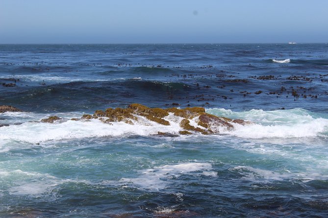 Visit To Robben Island Nelson Mandela Prison Museum Ferry Tickets H/D - Duration and Meeting Point