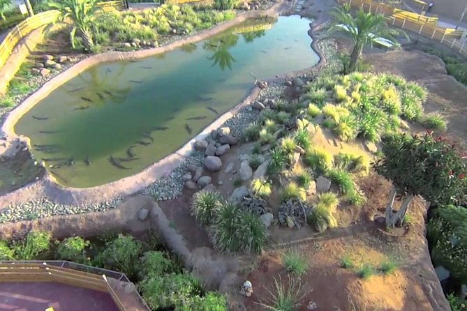 Visite the Crocodiles Park and Botanic Garden - Good To Know