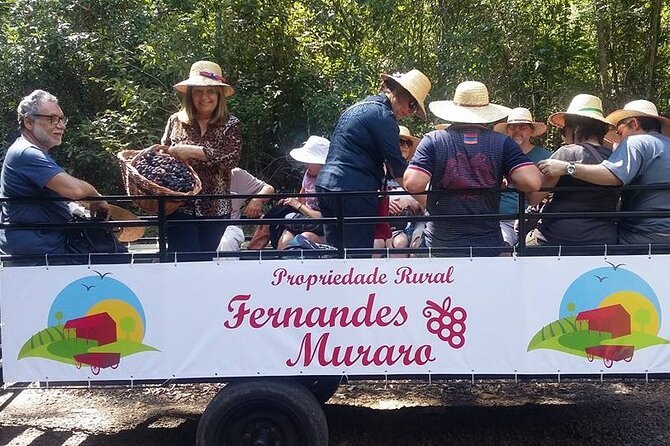 Visitors Delight in Flores Da Cunha Carriage Ride