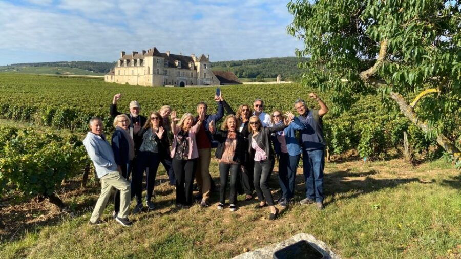 Vosne-Romanée: Private Vineyards Walking Tour With Tasting - Good To Know